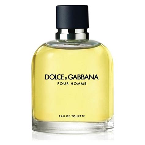 pour homme eau de toilette edt pour homme dolce gabbana